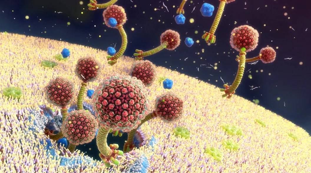 
                                                                                            Infecciones bacterianas: la amenaza invisible y los mecanismos de defensa
                                             